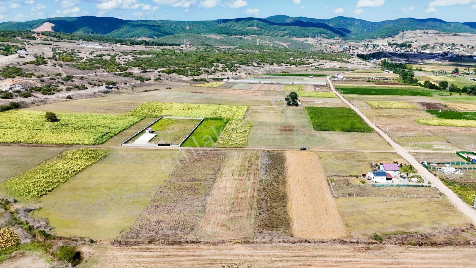 Körfez Cumaköyde 2.294 M² 21 Metre Yola Cepheli Satılık Tarla — fotoğraf 13