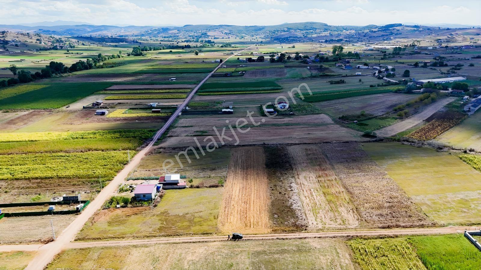 Körfez Cumaköyde 2.294 M² 21 Metre Yola Cepheli Satılık Tarla — fotoğraf 14