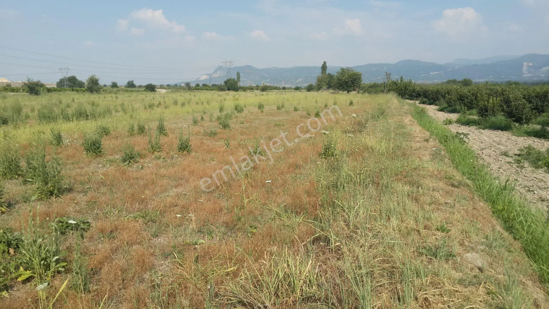 Denizli/tavas/altınova.çatak Mevkiinde Verimli Tarla.e Sağat — fotoğraf 3