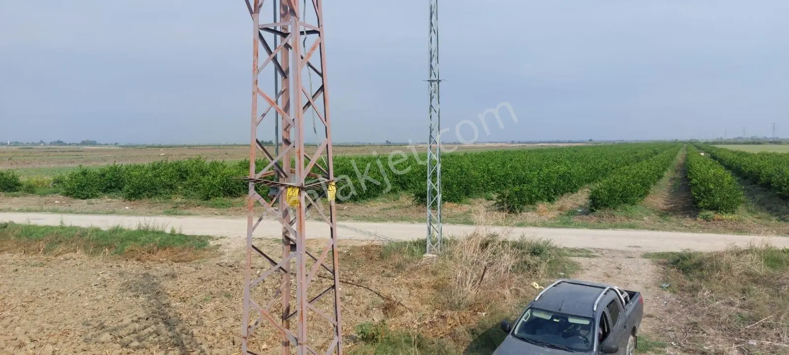 Ceyhan Çukurova Harasında/4500 Limon Ağaçlı/127.000 M2 Bahçe — fotoğraf 3