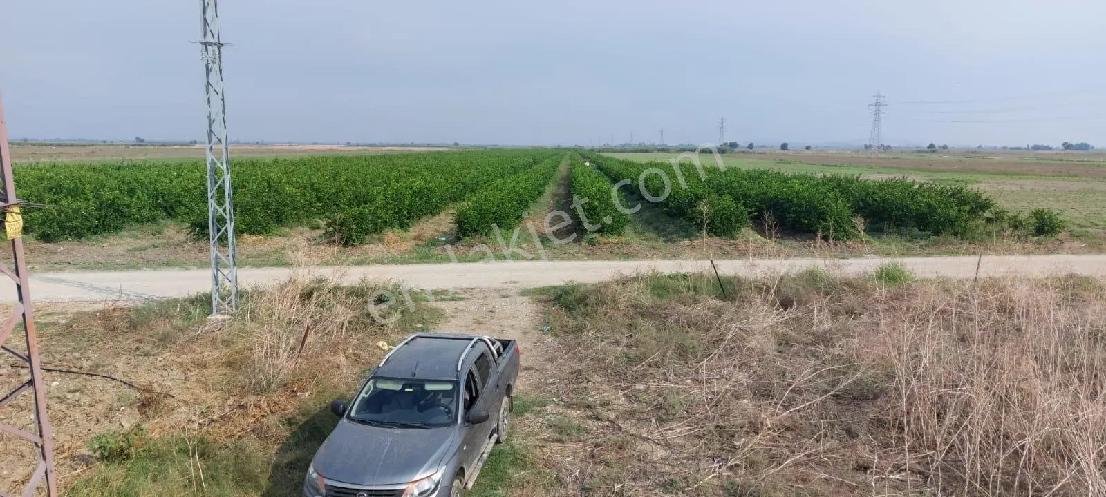 Ceyhan Çukurova Harasında/4500 Limon Ağaçlı/127.000 M2 Bahçe — fotoğraf 12