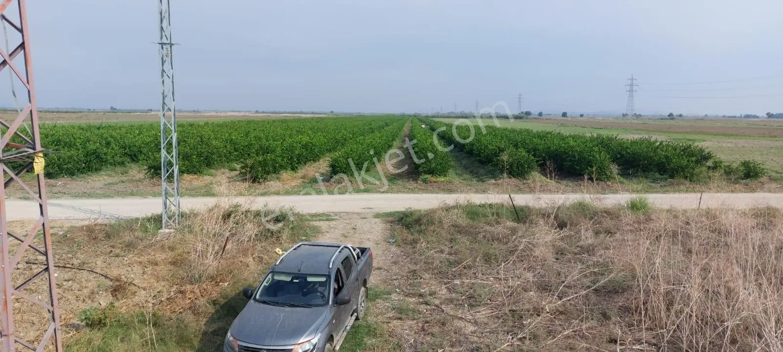 Ceyhan Çukurova Harasında/4500 Limon Ağaçlı/127.000 M2 Bahçe — fotoğraf 13