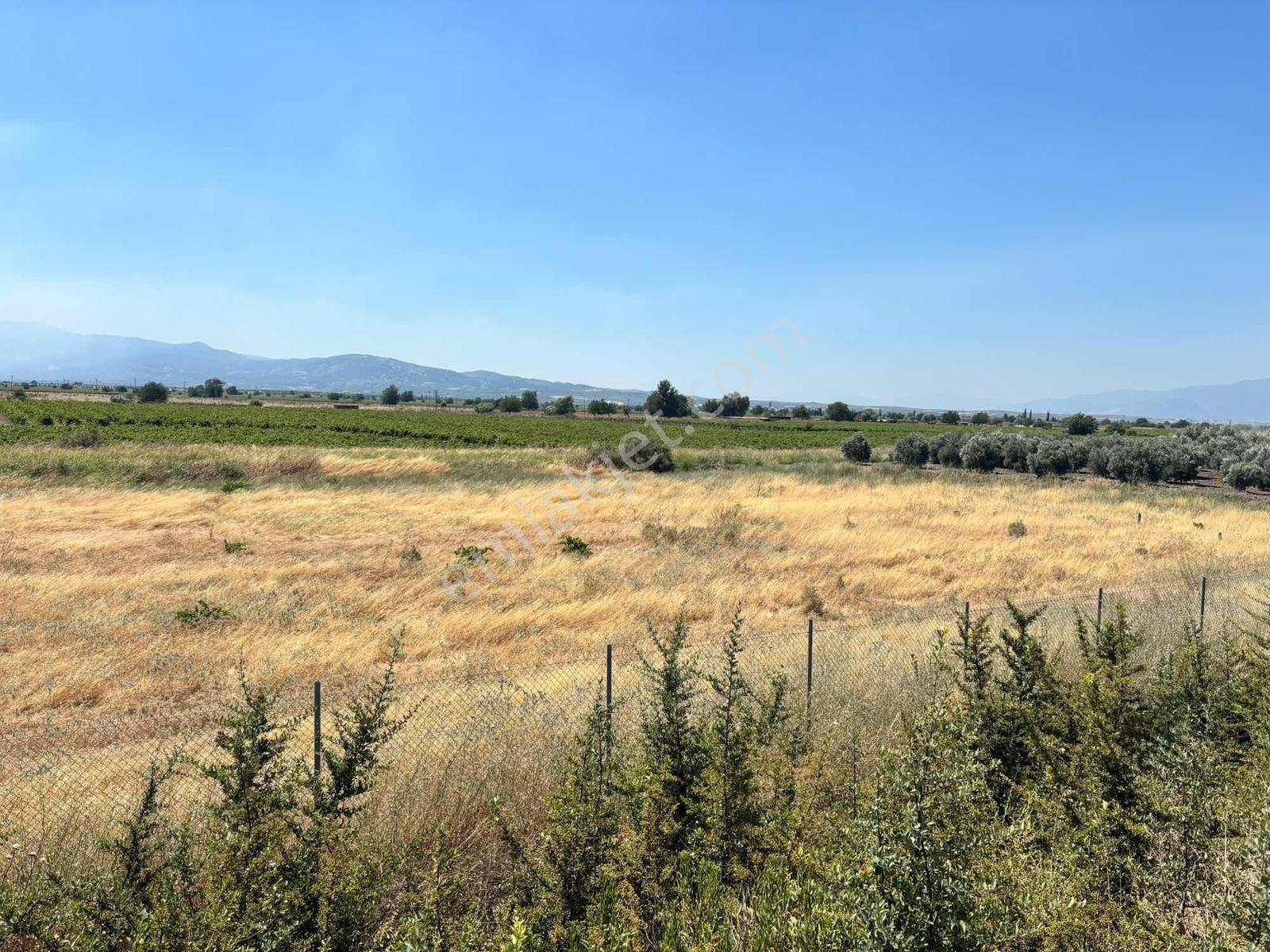 İstanbul İzmir Yolu Üzerinde 6975 M2 Satılık Tarla — fotoğraf 5