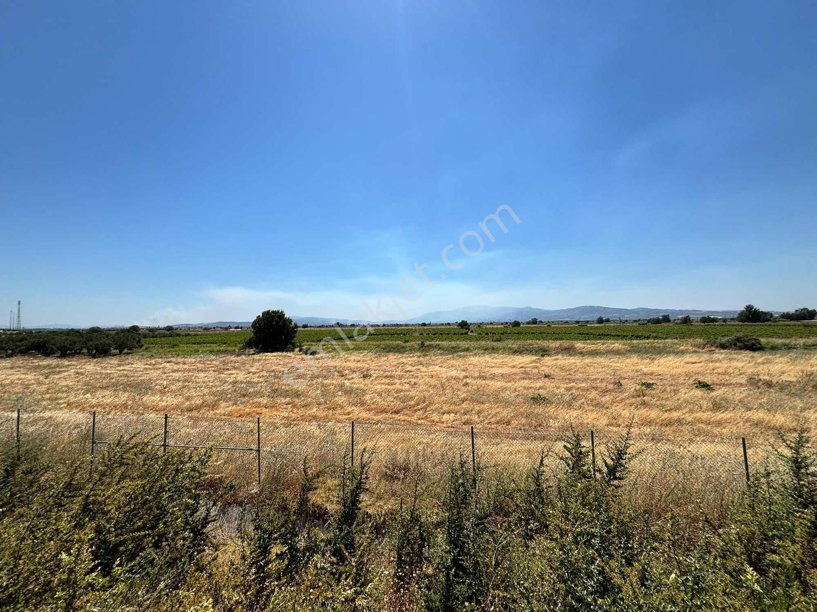 İstanbul İzmir Yolu Üzerinde 6975 M2 Satılık Tarla — fotoğraf 8