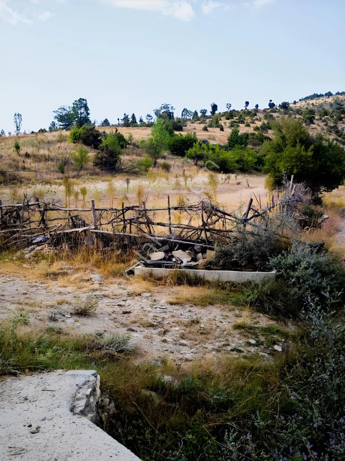 3en Gayrimenkul Kütahya Emet'te Tek Hisse 1398m2 Satılık — fotoğraf 4