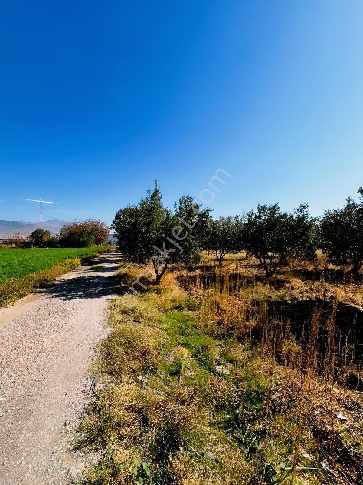 Menemen Türkellinde Novada Avm Yakını Satılık Tarla — fotoğraf 3