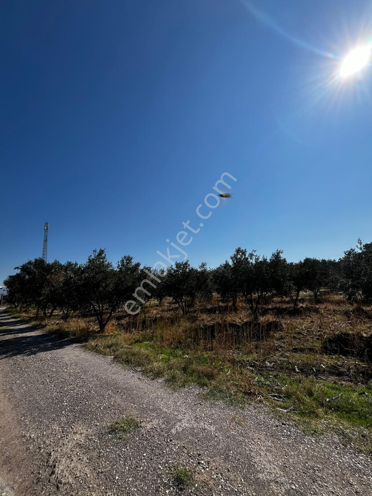 Menemen Türkellinde Novada Avm Yakını Satılık Tarla — fotoğraf 4