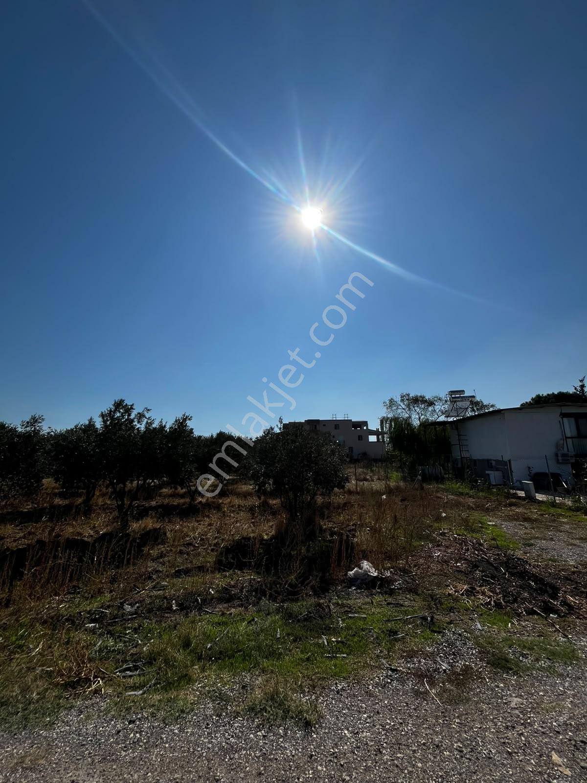 Menemen Türkellinde Novada Avm Yakını Satılık Tarla — fotoğraf 6