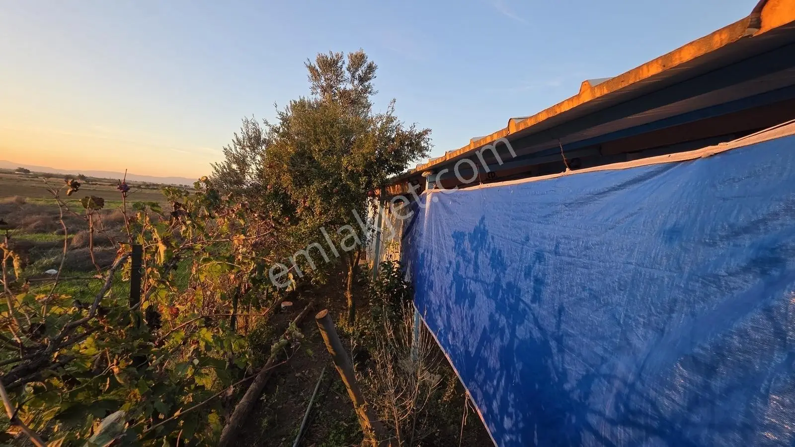 İzmir Tire Sb Emlak'tan Eskioba Mah. Satılık Fırsat Gayrimenkul — fotoğraf 16