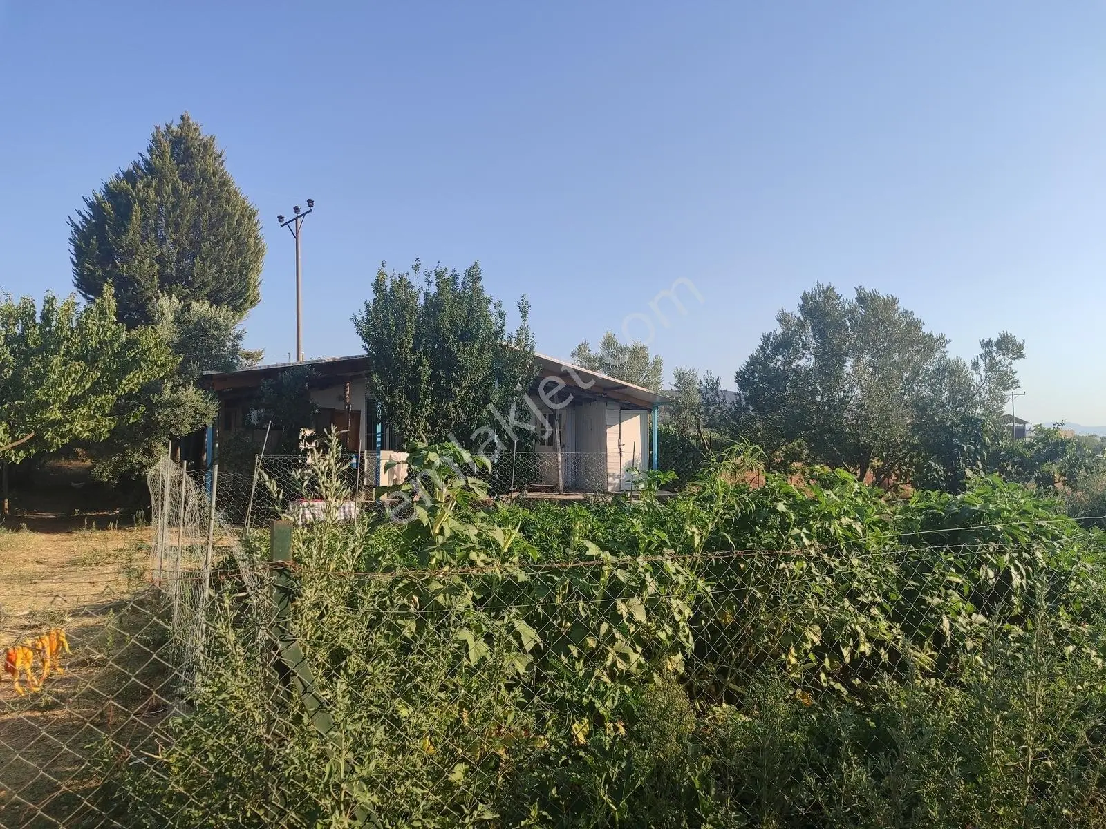 İzmir Tire Sb Emlak'tan Eskioba Mah. Satılık Fırsat Gayrimenkul — fotoğraf 17