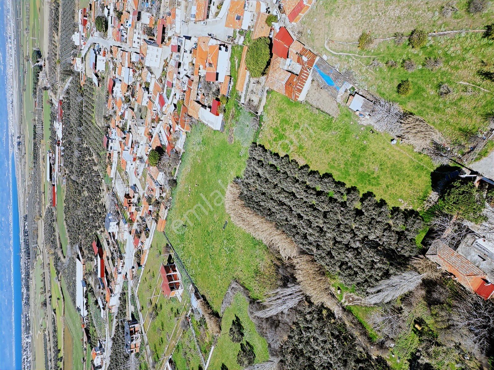 Parla'dan Burhaniye Çoruk Mah.'de 3842m² İmarlı Yatırım Fırsatı — fotoğraf 2