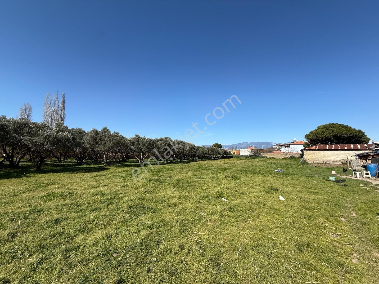 Parla'dan Burhaniye Çoruk Mah.'de 3842m² İmarlı Yatırım Fırsatı — fotoğraf 3