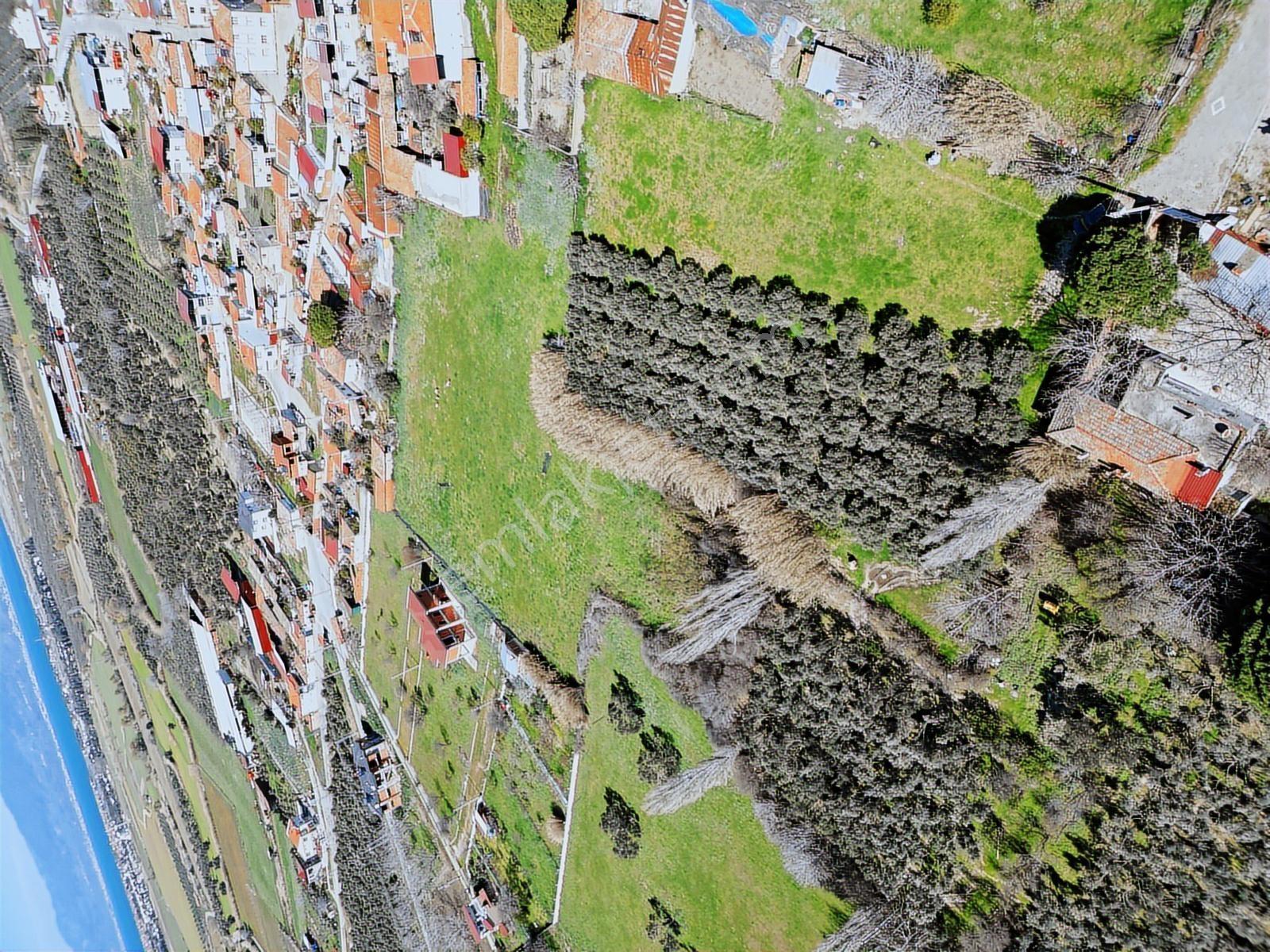Parla'dan Burhaniye Çoruk Mah.'de 3842m² İmarlı Yatırım Fırsatı — fotoğraf 6