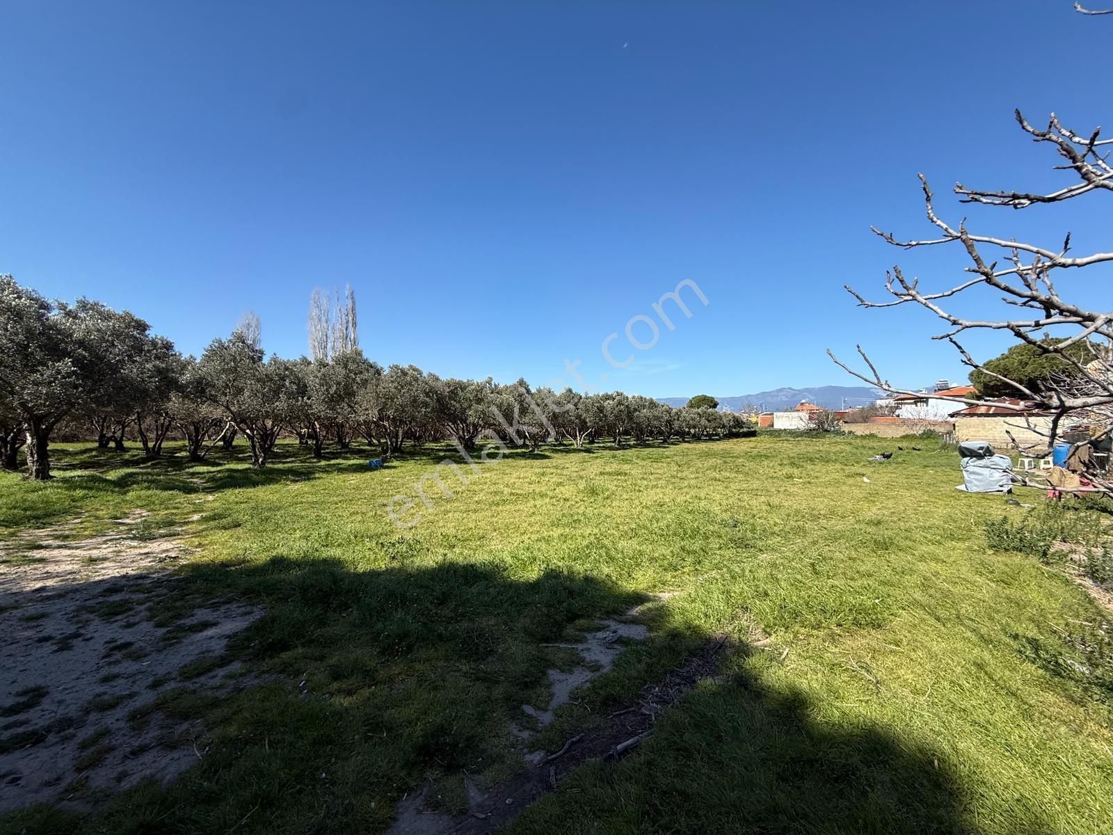 Parla'dan Burhaniye Çoruk Mah.'de 3842m² İmarlı Yatırım Fırsatı — fotoğraf 10