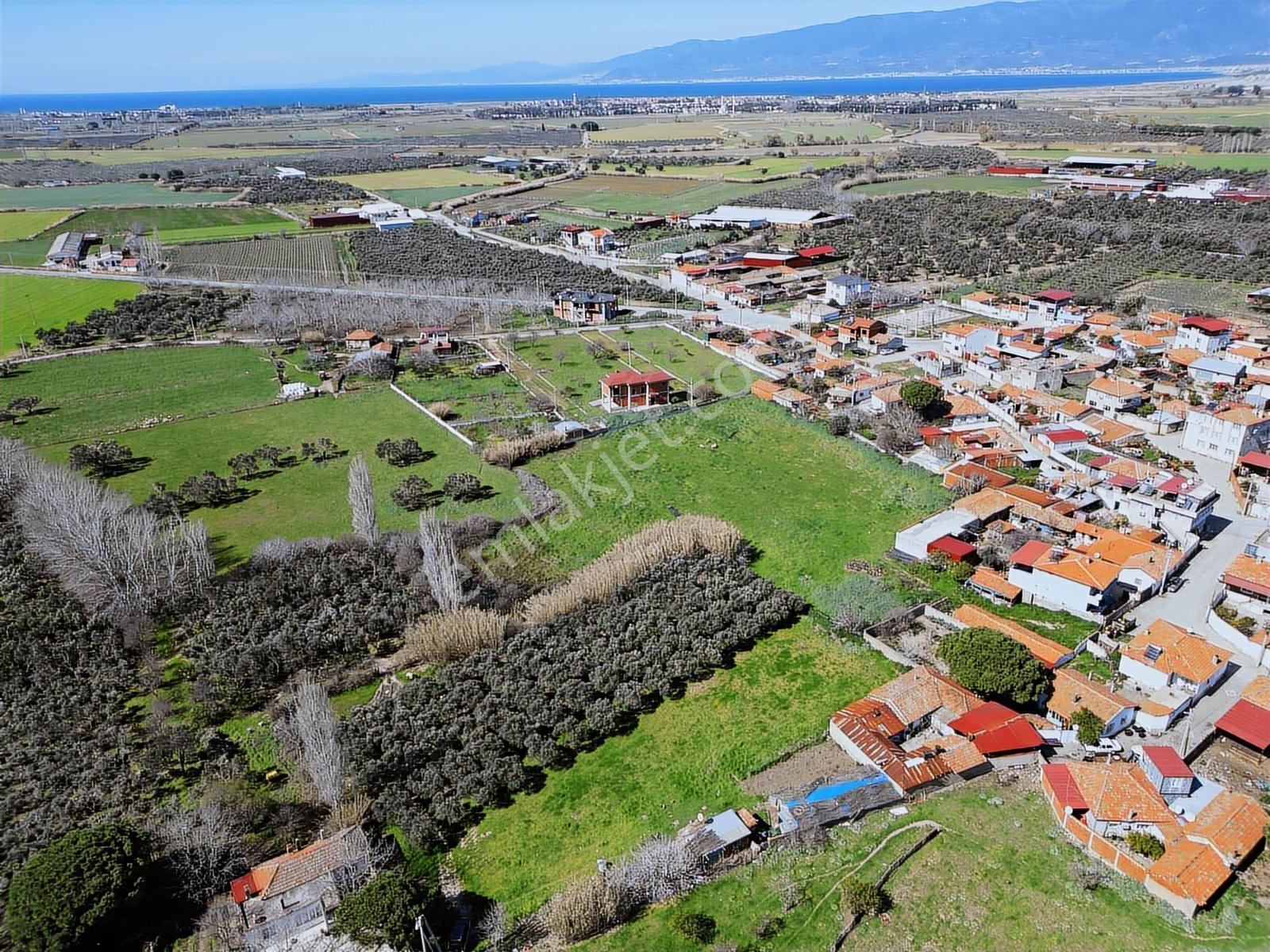 Parla'dan Burhaniye Çoruk Mah.'de 3842m² İmarlı Yatırım Fırsatı — fotoğraf 13