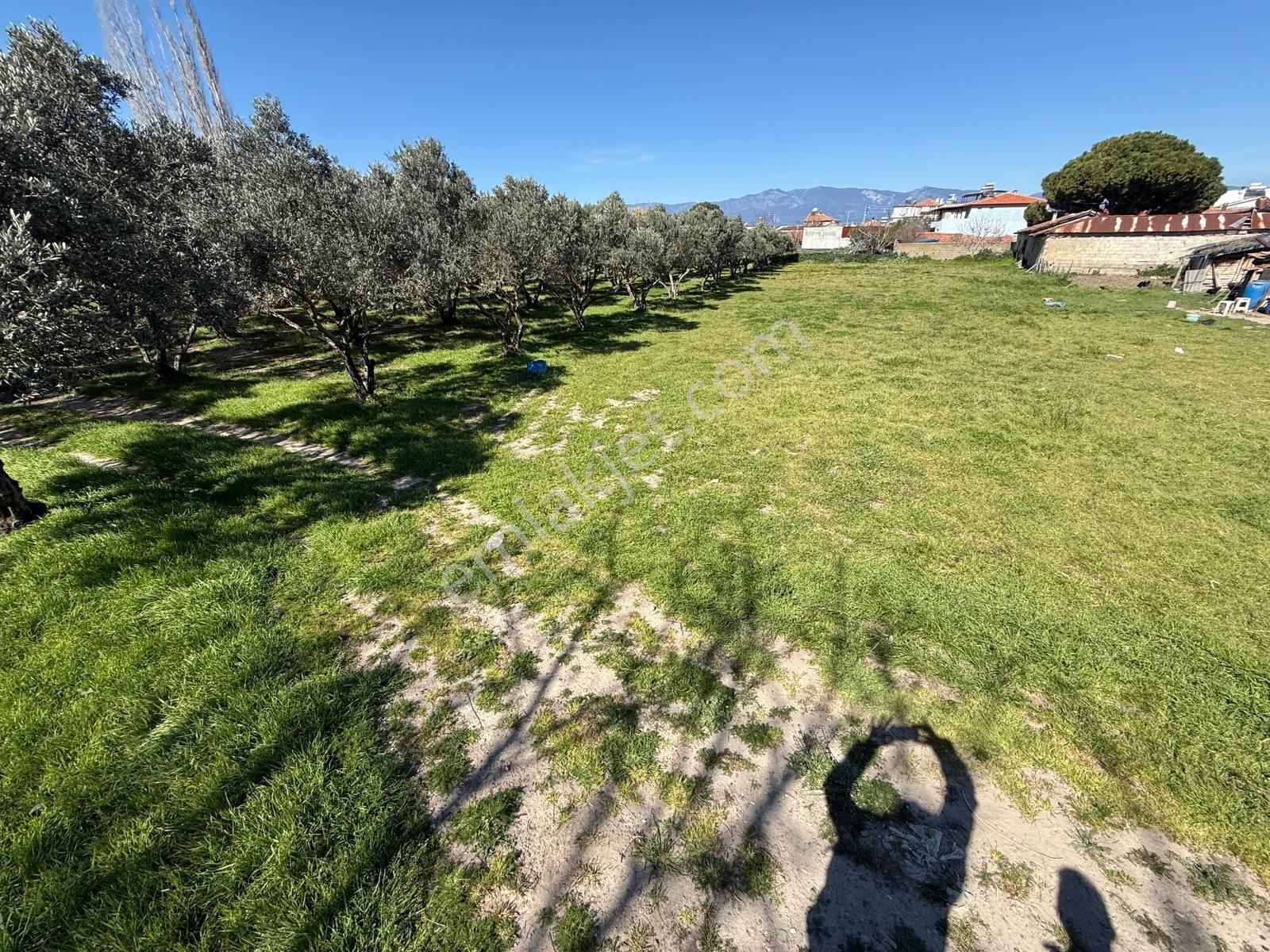 Parla'dan Burhaniye Çoruk Mah.'de 3842m² İmarlı Yatırım Fırsatı — fotoğraf 17