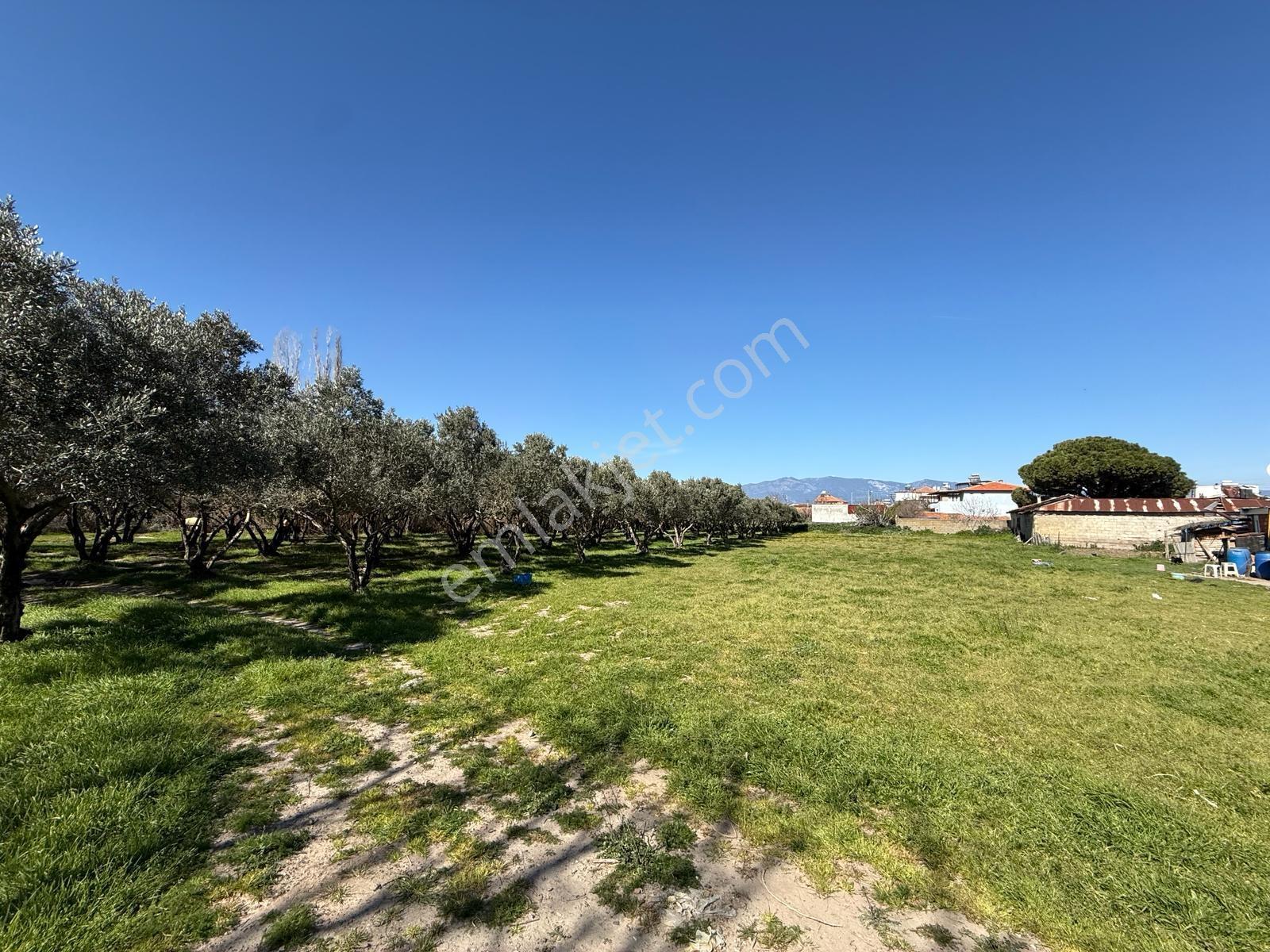 Parla'dan Burhaniye Çoruk Mah.'de 3842m² İmarlı Yatırım Fırsatı — fotoğraf 19