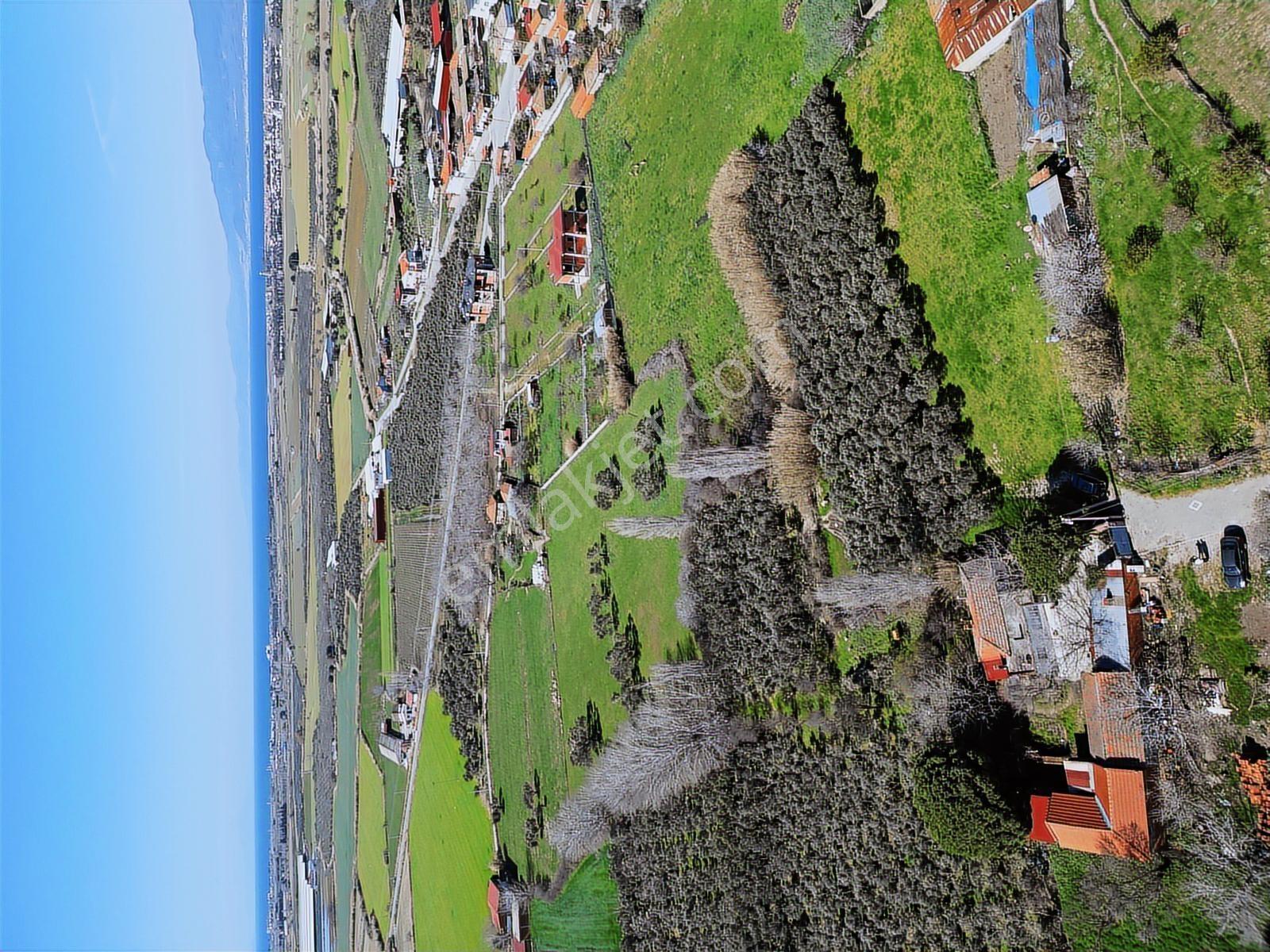 Parla'dan Burhaniye Çoruk Mah.'de 3842m² İmarlı Yatırım Fırsatı — fotoğraf 21