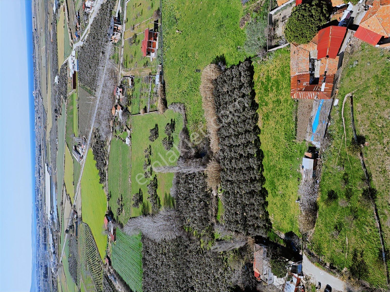 Parla'dan Burhaniye Çoruk Mah.'de 3842m² İmarlı Yatırım Fırsatı — fotoğraf 25