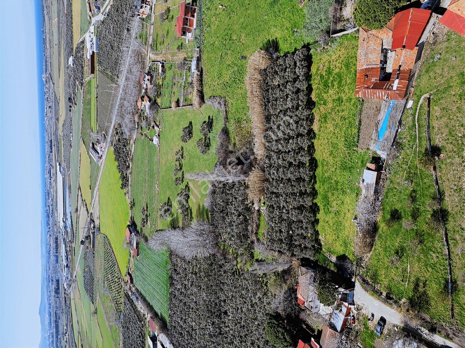 Parla'dan Burhaniye Çoruk Mah.'de 3842m² İmarlı Yatırım Fırsatı — fotoğraf 26