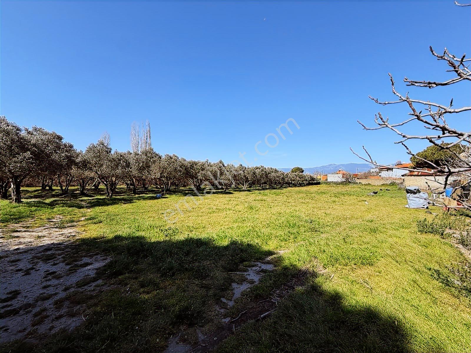 Parla'dan Burhaniye Çoruk Mah.'de 3842m² İmarlı Yatırım Fırsatı — fotoğraf 30