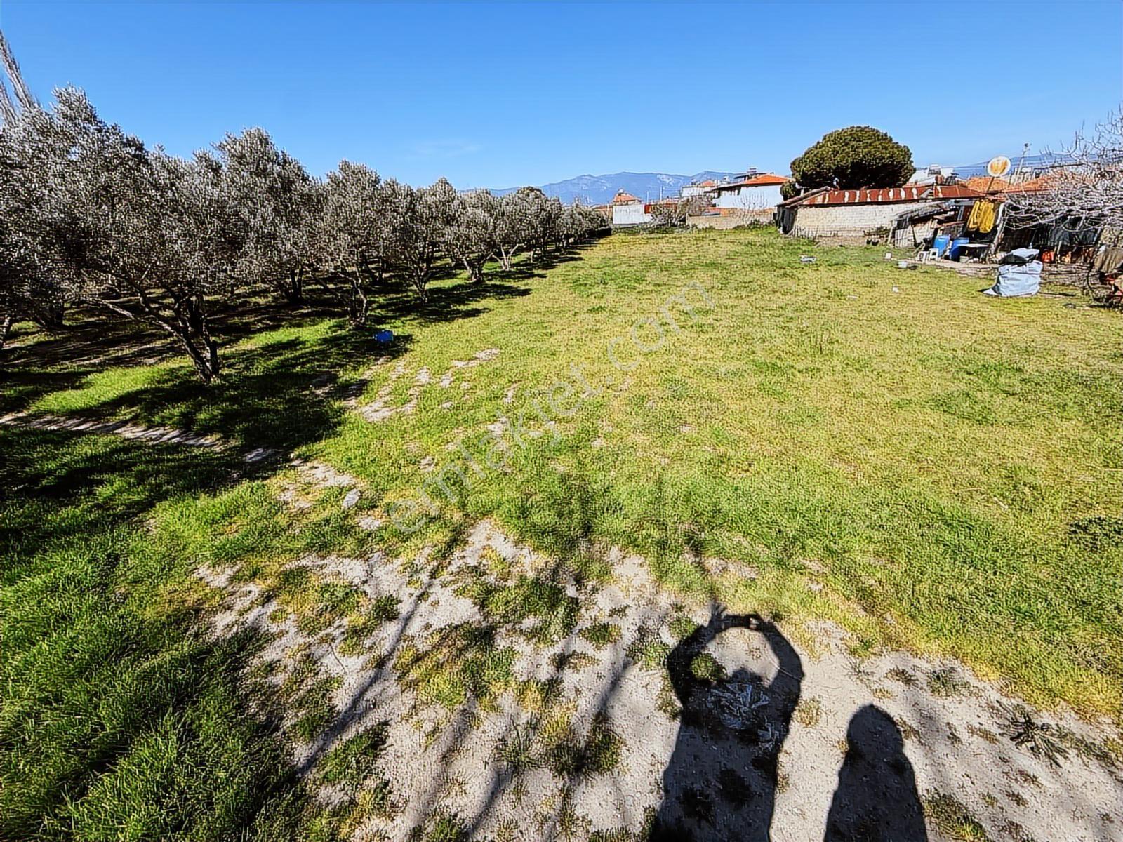 Parla'dan Burhaniye Çoruk Mah.'de 3842m² İmarlı Yatırım Fırsatı — fotoğraf 31