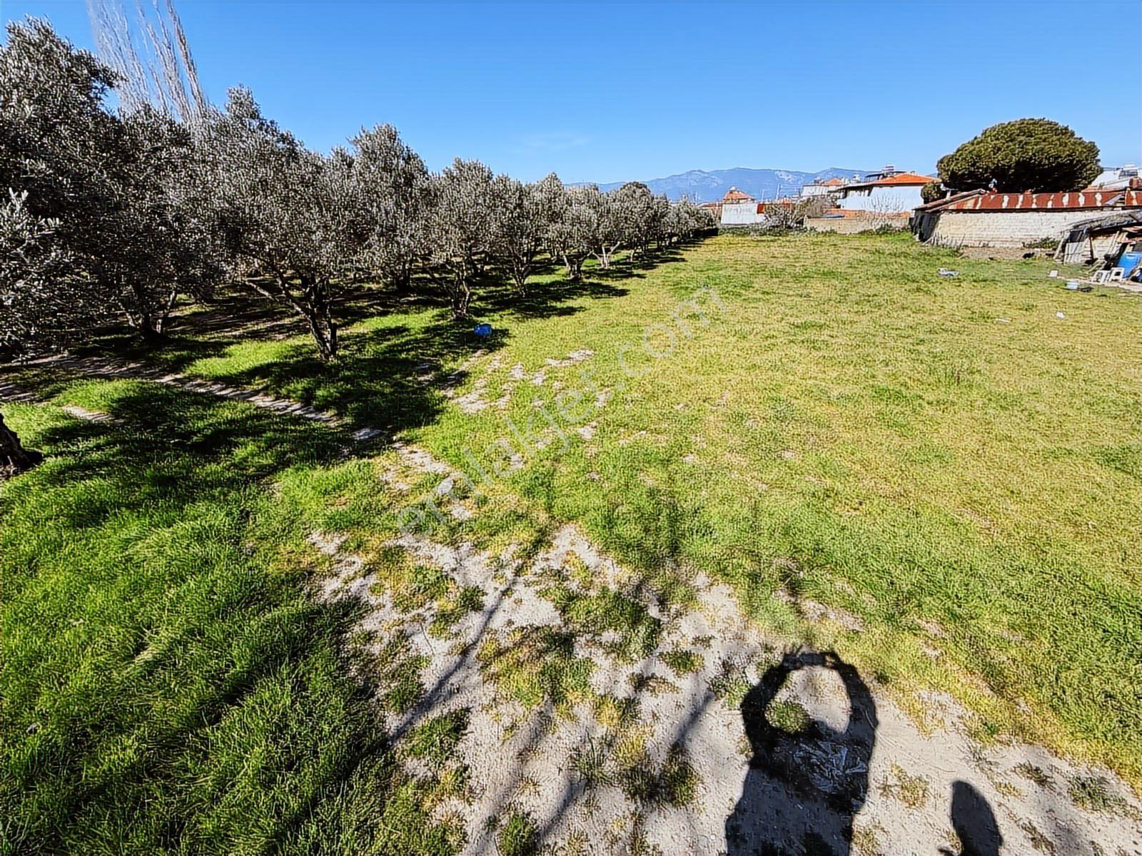 Parla'dan Burhaniye Çoruk Mah.'de 3842m² İmarlı Yatırım Fırsatı — fotoğraf 32