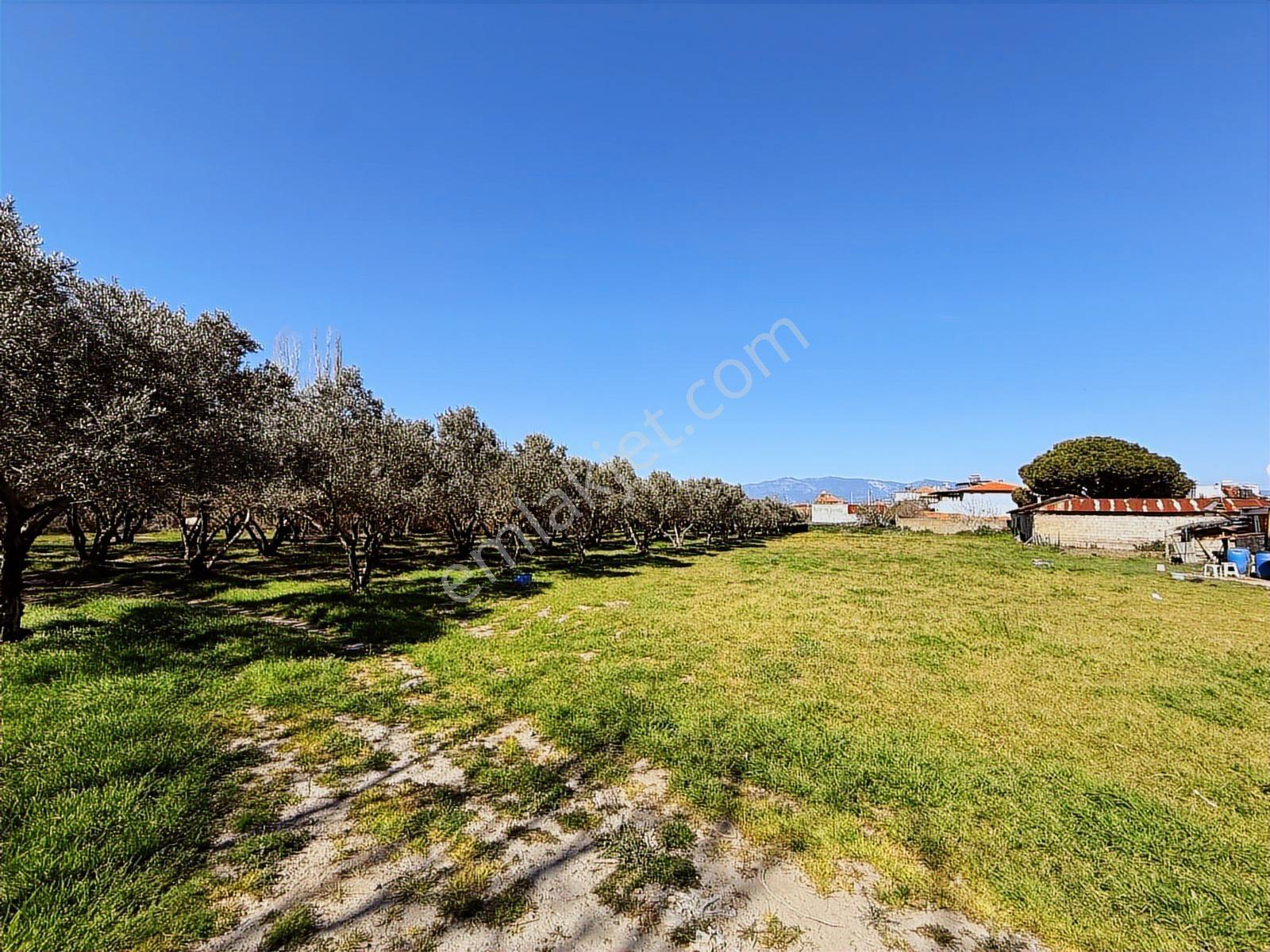 Parla'dan Burhaniye Çoruk Mah.'de 3842m² İmarlı Yatırım Fırsatı — fotoğraf 34