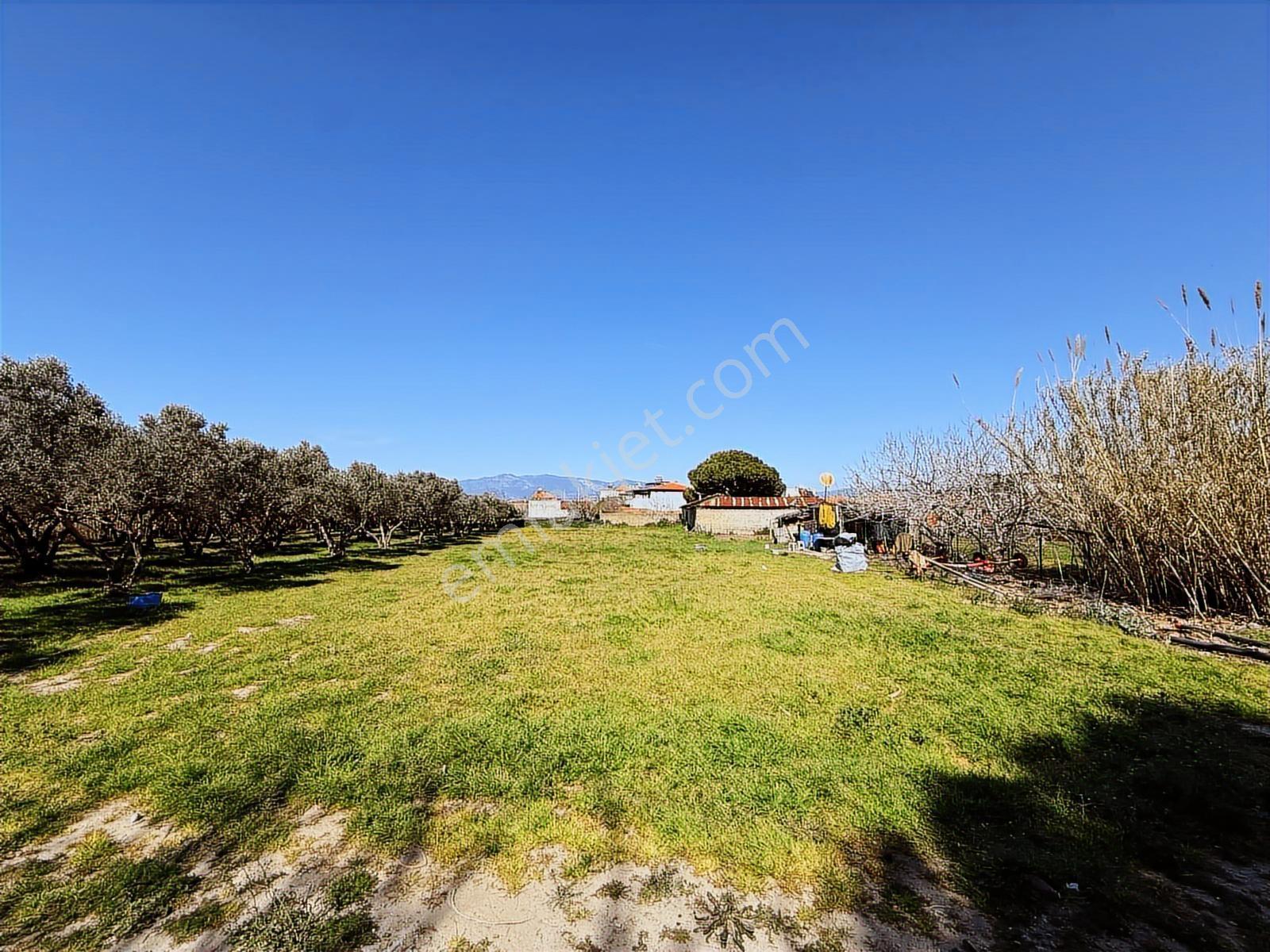 Parla'dan Burhaniye Çoruk Mah.'de 3842m² İmarlı Yatırım Fırsatı — fotoğraf 35