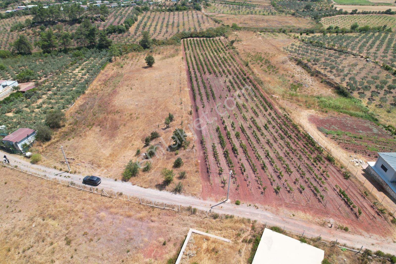 Pasifik'ten Menderes Yeniköy Köy Yerleşim Yakını 7103 M² Arazi — fotoğraf 2