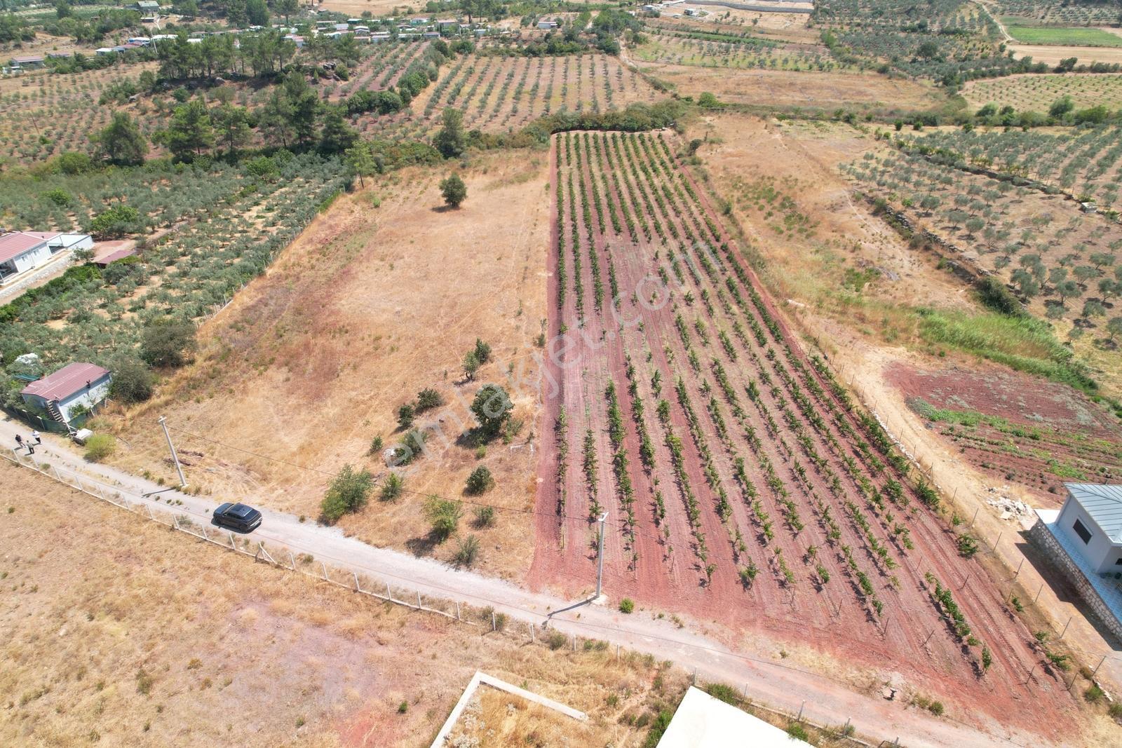 Pasifik'ten Menderes Yeniköy Köy Yerleşim Yakını 7103 M² Arazi — fotoğraf 4