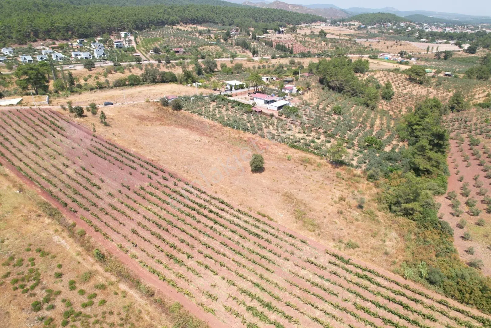 Pasifik'ten Menderes Yeniköy Köy Yerleşim Yakını 7103 M² Arazi — fotoğraf 6