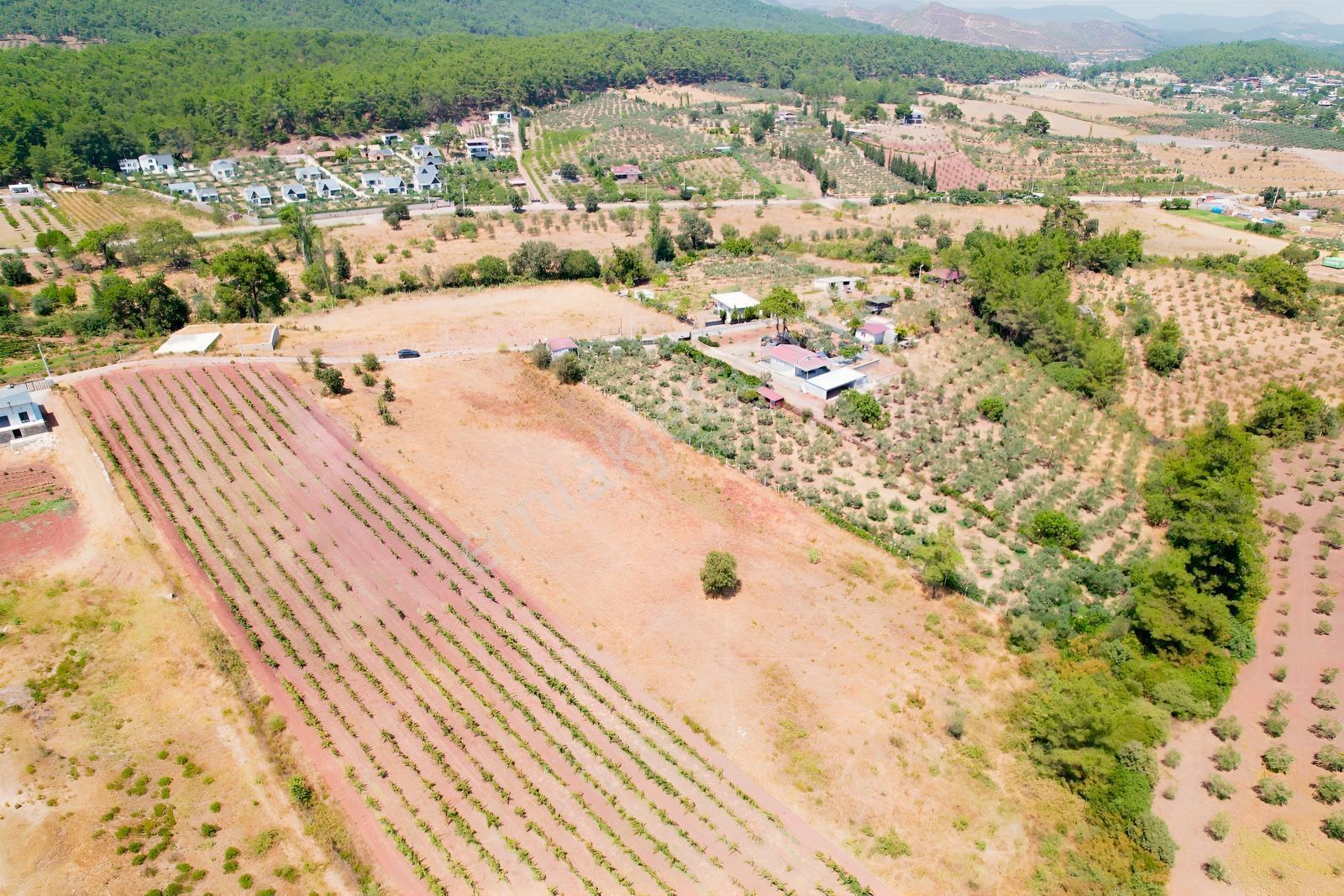 Pasifik'ten Menderes Yeniköy Köy Yerleşim Yakını 7103 M² Arazi — fotoğraf 7
