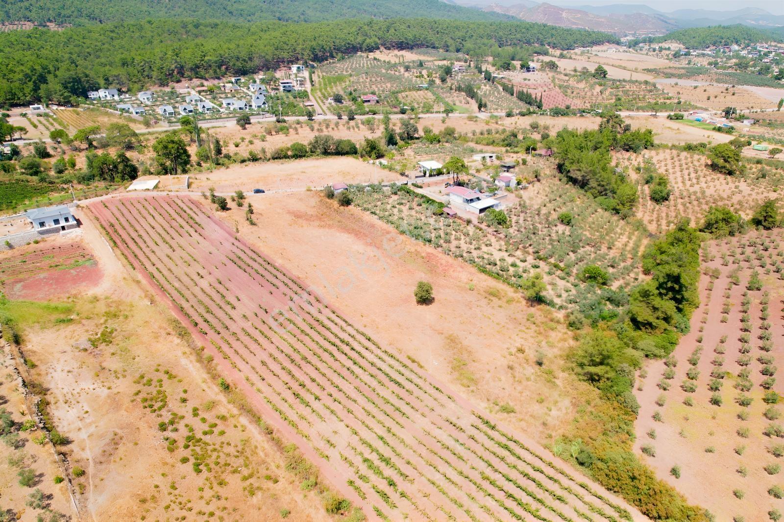Pasifik'ten Menderes Yeniköy Köy Yerleşim Yakını 7103 M² Arazi — fotoğraf 8