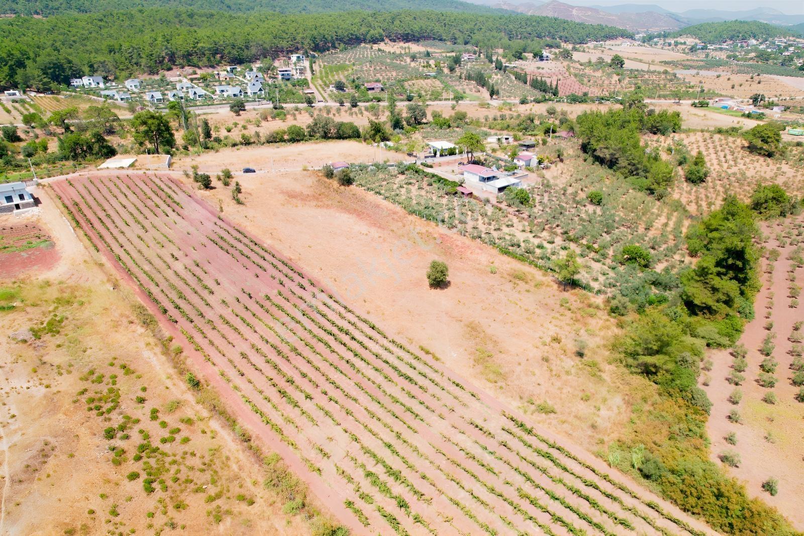 Pasifik'ten Menderes Yeniköy Köy Yerleşim Yakını 7103 M² Arazi — fotoğraf 9