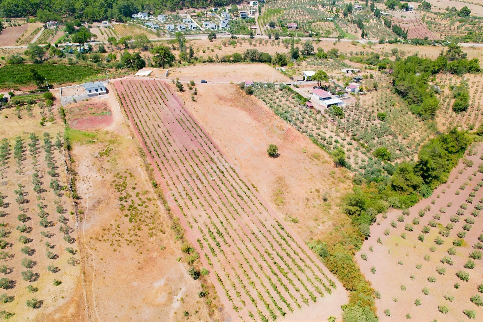Pasifik'ten Menderes Yeniköy Köy Yerleşim Yakını 7103 M² Arazi — fotoğraf 10