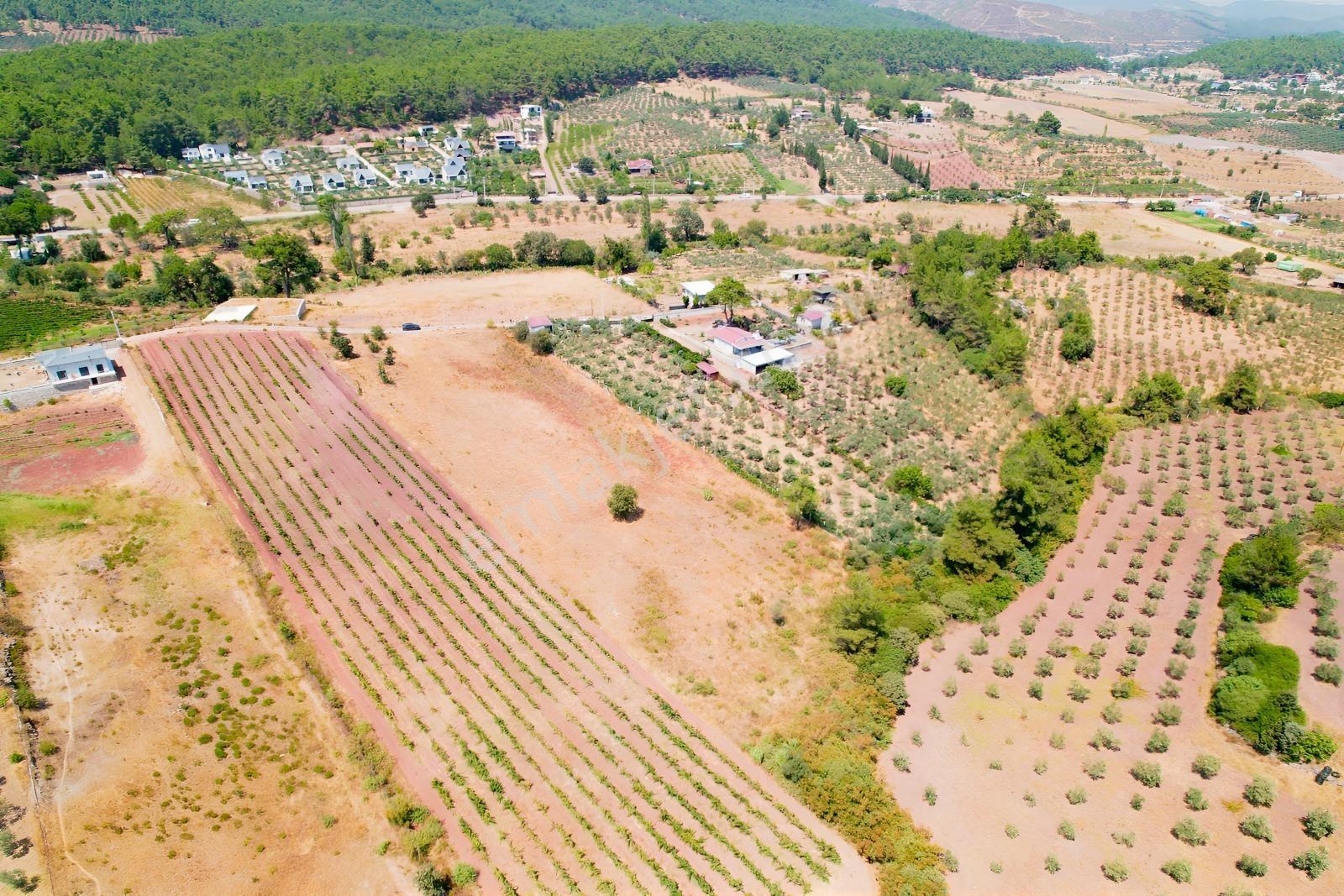 Pasifik'ten Menderes Yeniköy Köy Yerleşim Yakını 7103 M² Arazi — fotoğraf 11