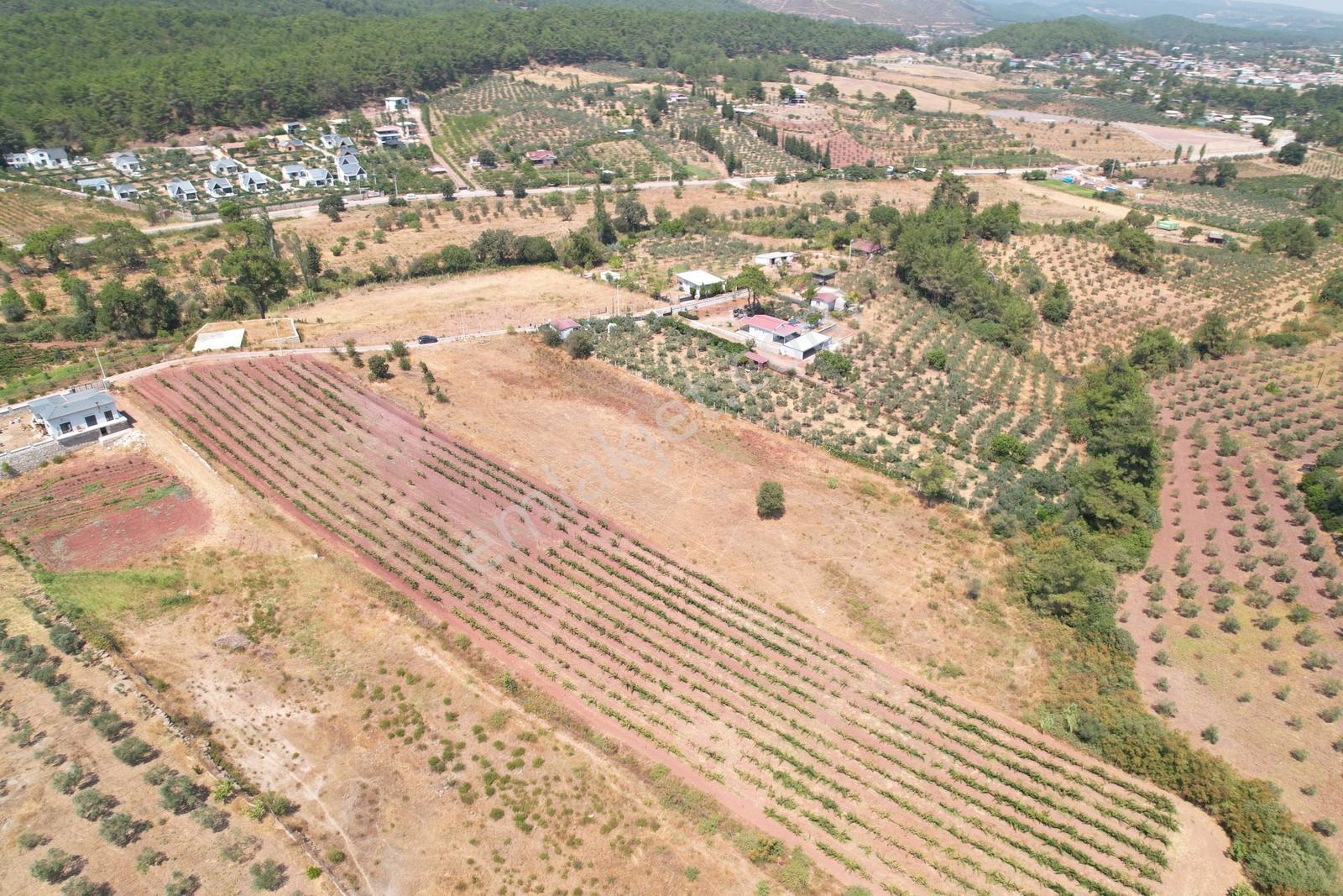 Pasifik'ten Menderes Yeniköy Köy Yerleşim Yakını 7103 M² Arazi — fotoğraf 12