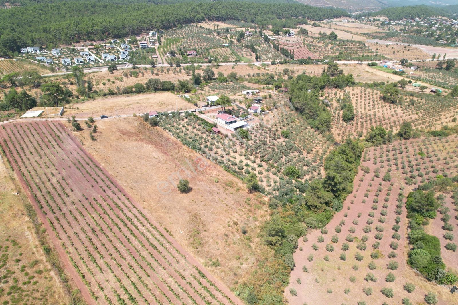 Pasifik'ten Menderes Yeniköy Köy Yerleşim Yakını 7103 M² Arazi — fotoğraf 13