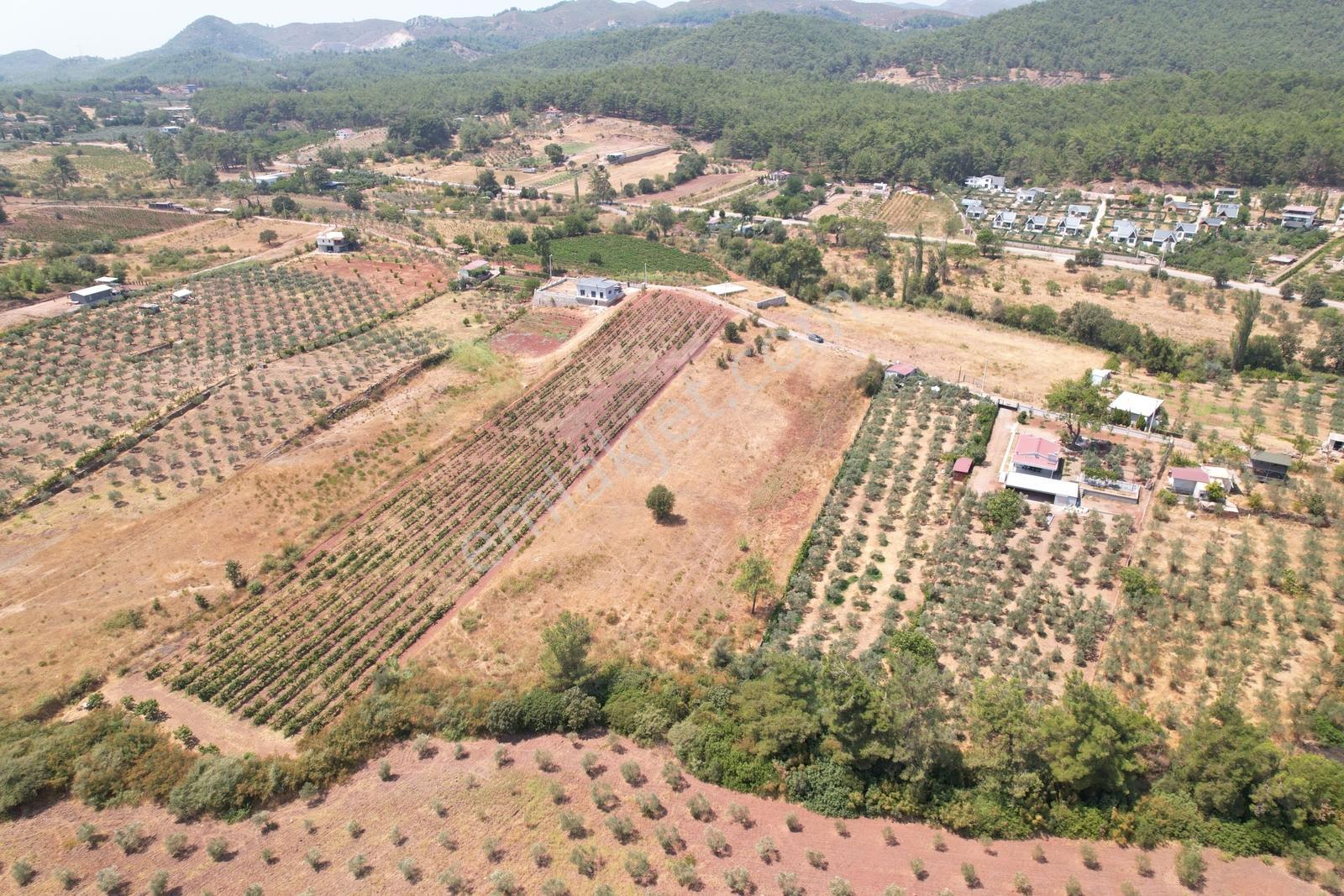 Pasifik'ten Menderes Yeniköy Köy Yerleşim Yakını 7103 M² Arazi — fotoğraf 14