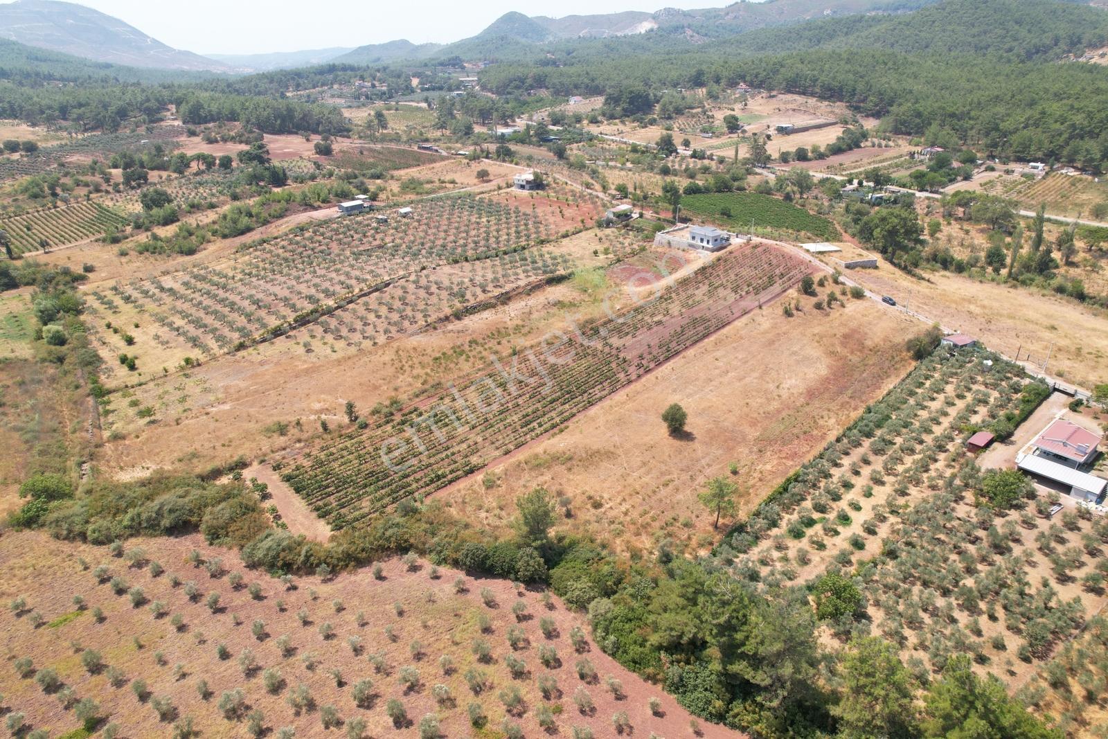 Pasifik'ten Menderes Yeniköy Köy Yerleşim Yakını 7103 M² Arazi — fotoğraf 15