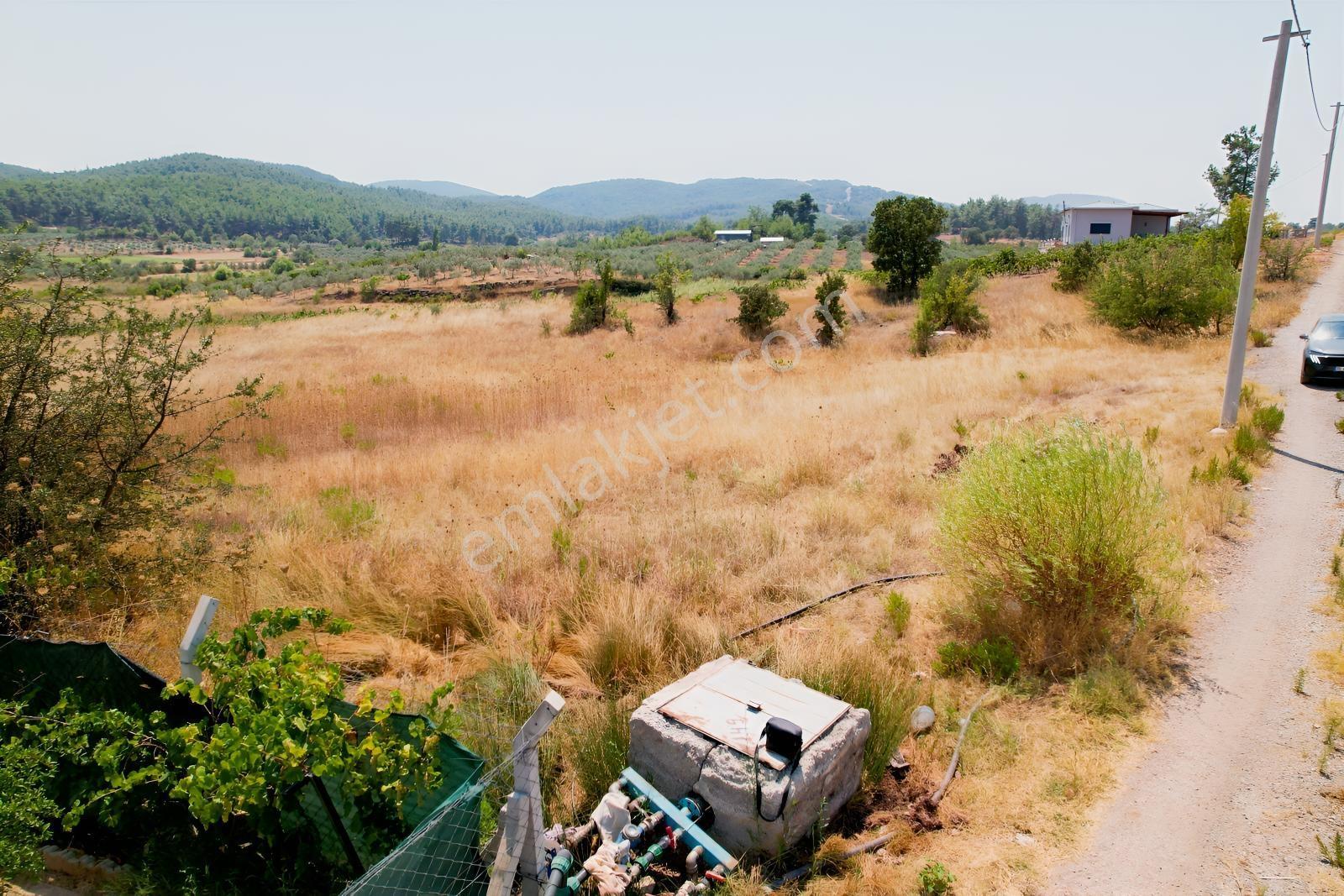Pasifik'ten Menderes Yeniköy Köy Yerleşim Yakını 7103 M² Arazi — fotoğraf 16