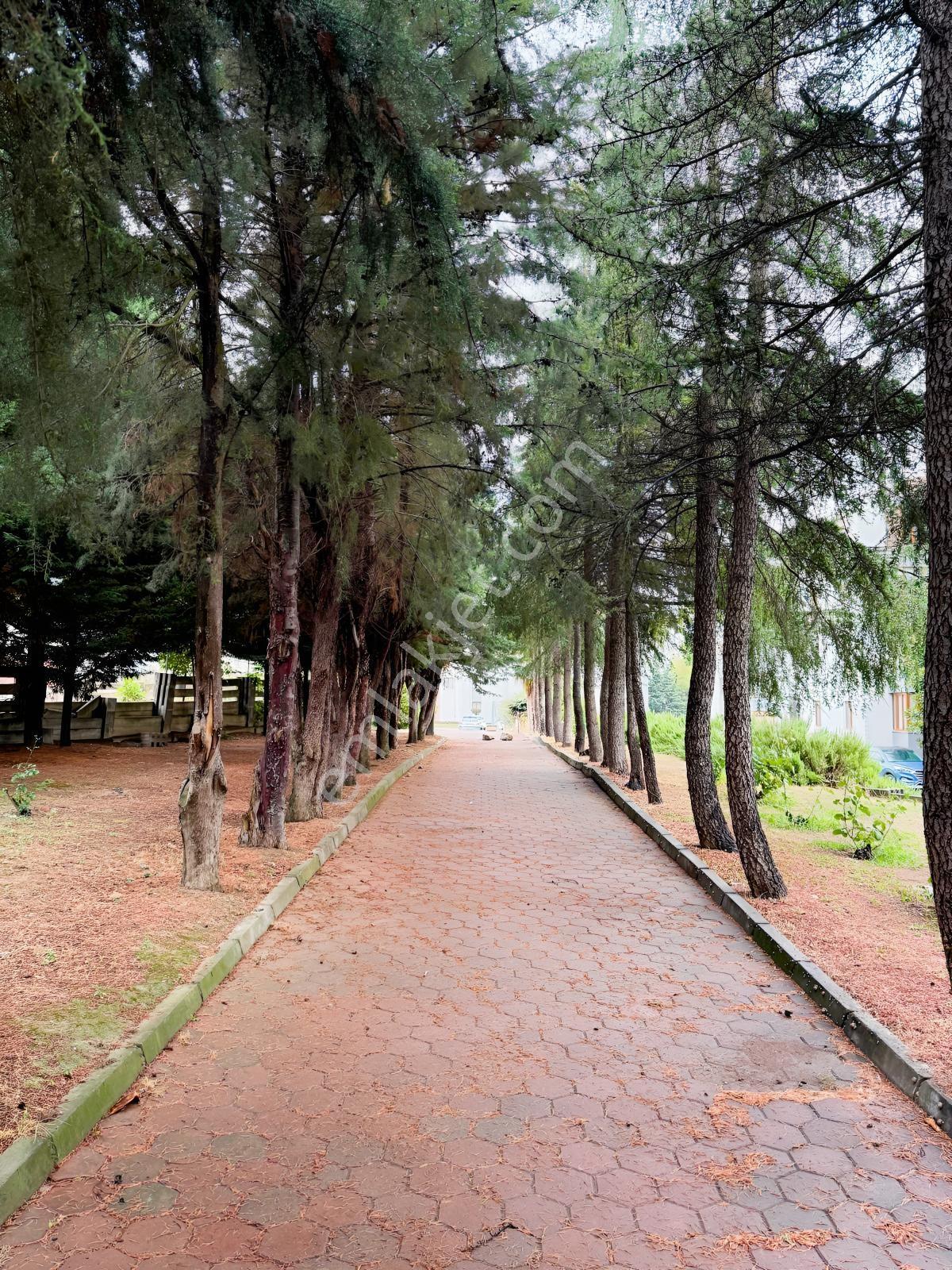 Alanyurt Esentepe Mahallesinde Site İçi Satılık 3+1 Arakat Daire — fotoğraf 18