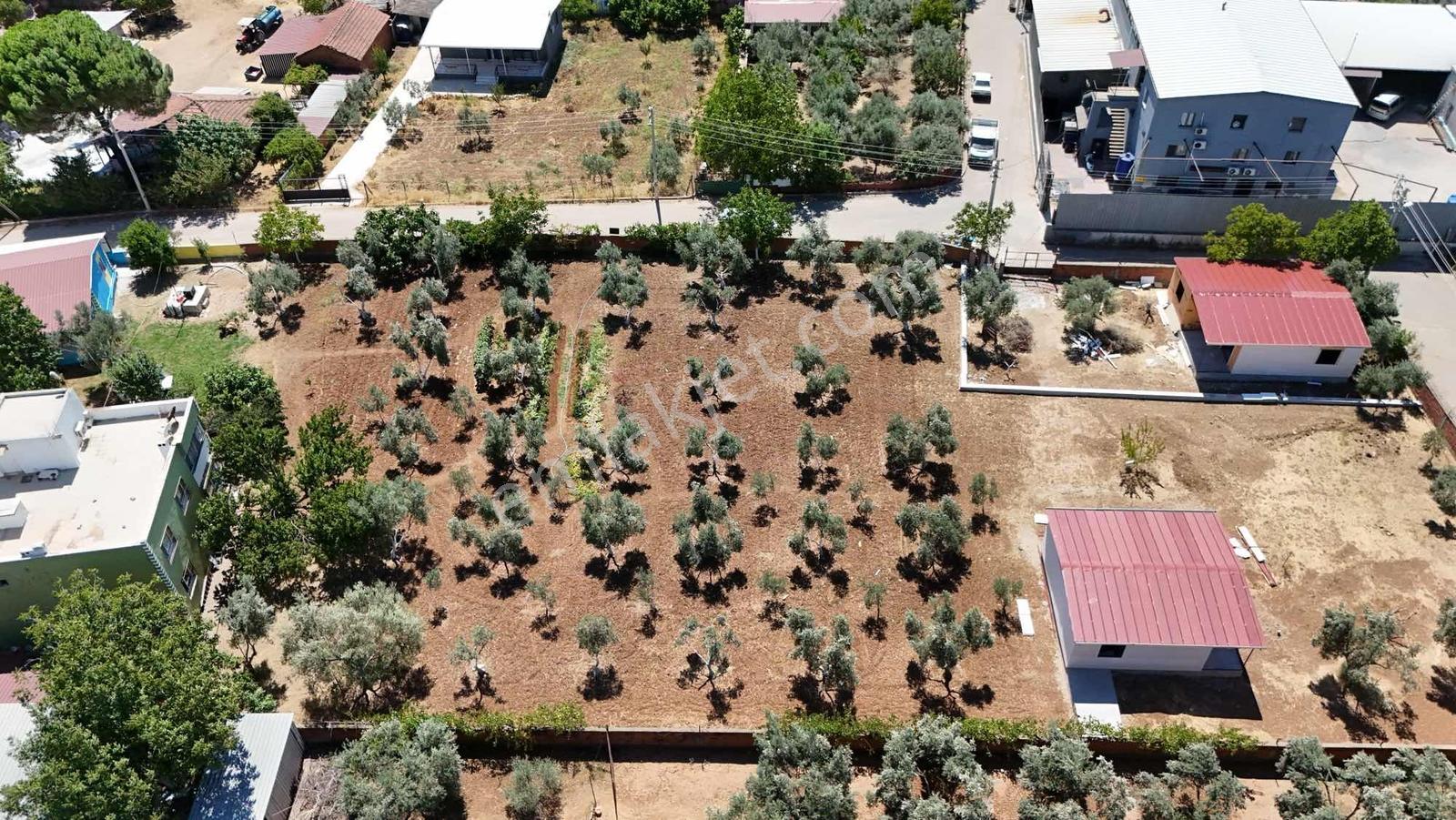 Berk Emlak'tan Oğlananasında 250 M2 Yol Cepheli Satılık Tarla — fotoğraf 3