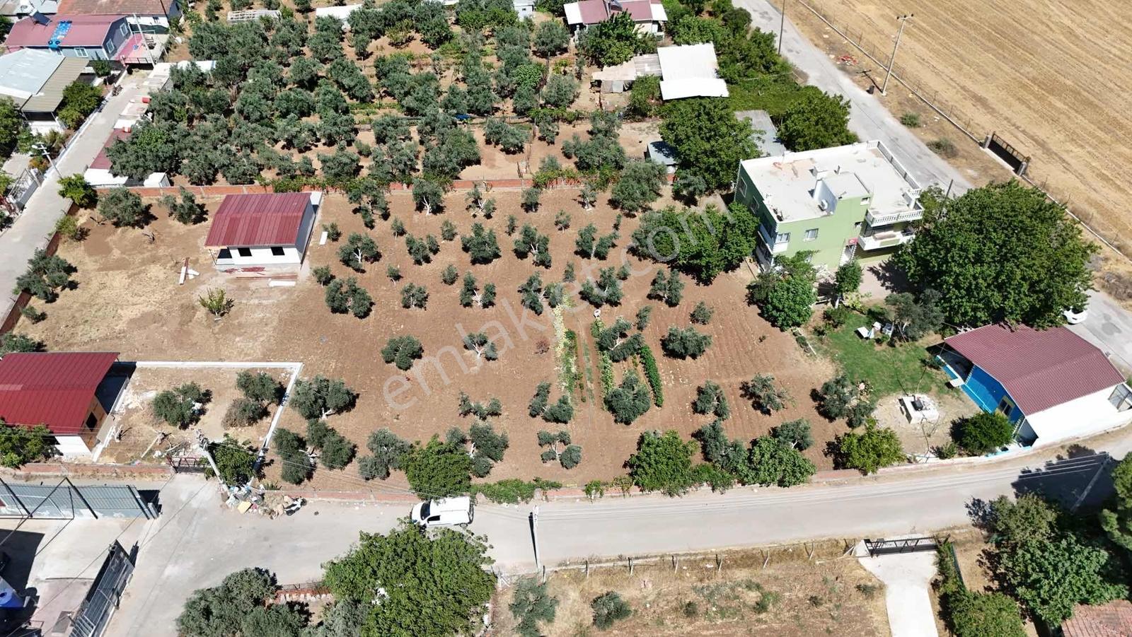 Berk Emlak'tan Oğlananasında 250 M2 Yol Cepheli Satılık Tarla — fotoğraf 4