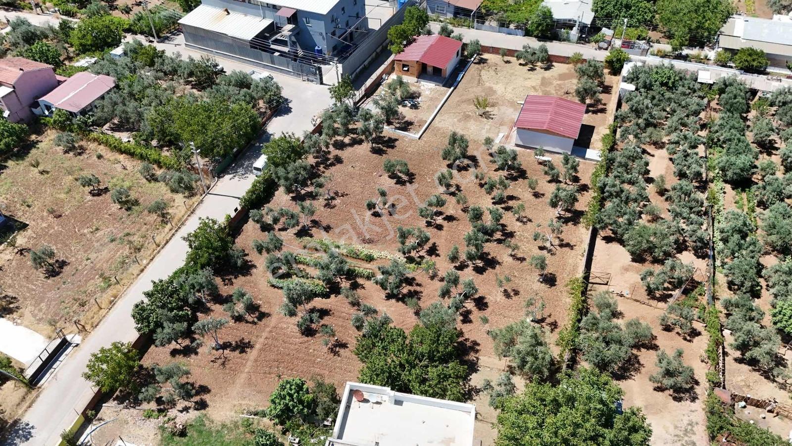 Berk Emlak'tan Oğlananasında 250 M2 Yol Cepheli Satılık Tarla — fotoğraf 5