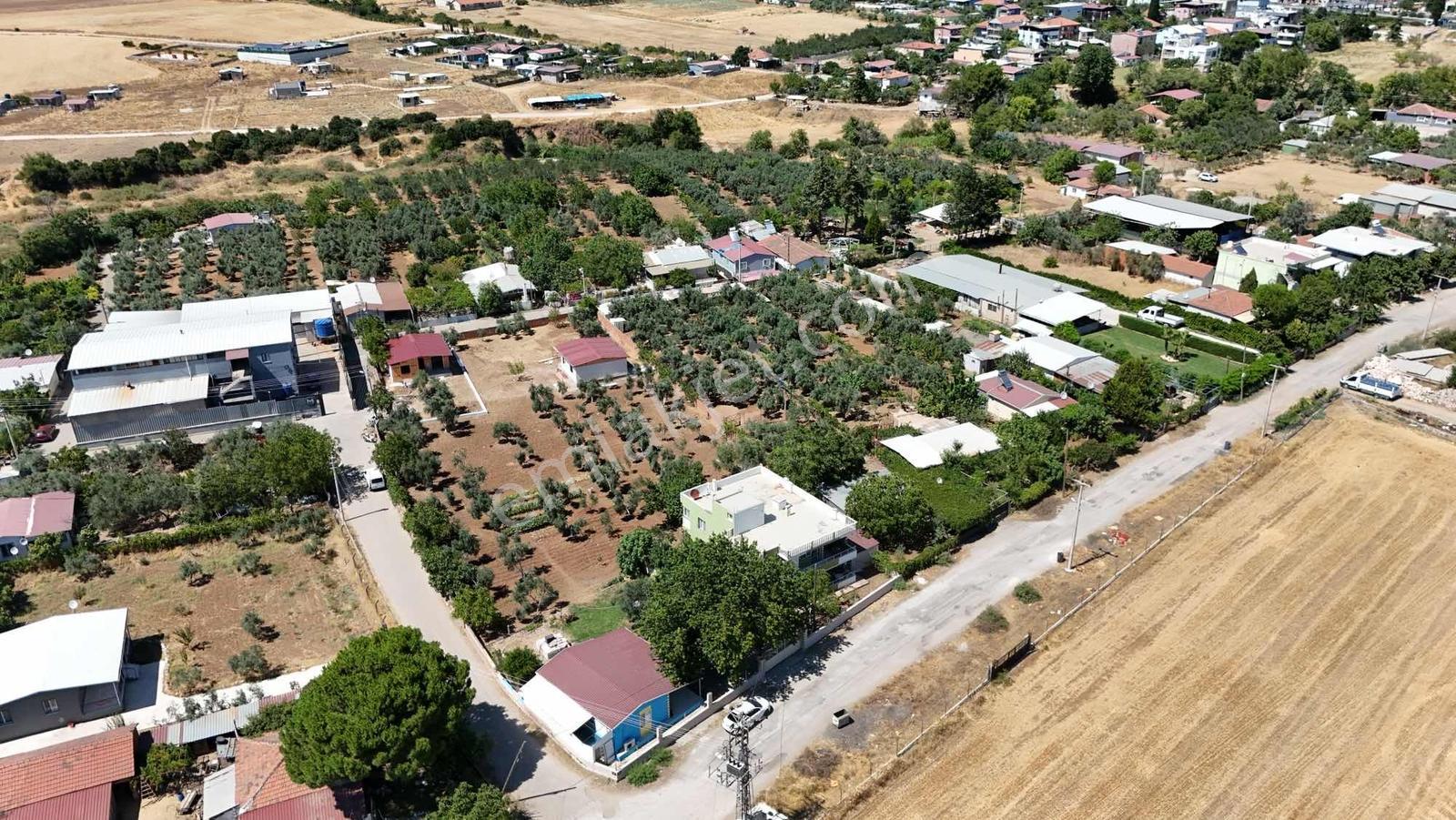 Berk Emlak'tan Oğlananasında 250 M2 Yol Cepheli Satılık Tarla — fotoğraf 6