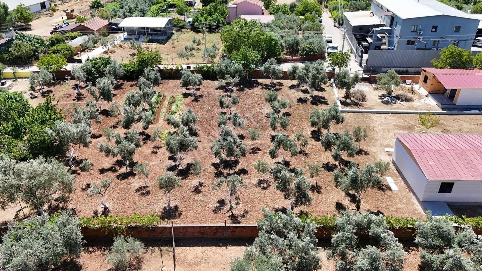 Berk Emlak'tan Oğlananasında 250 M2 Yol Cepheli Satılık Tarla — fotoğraf 13