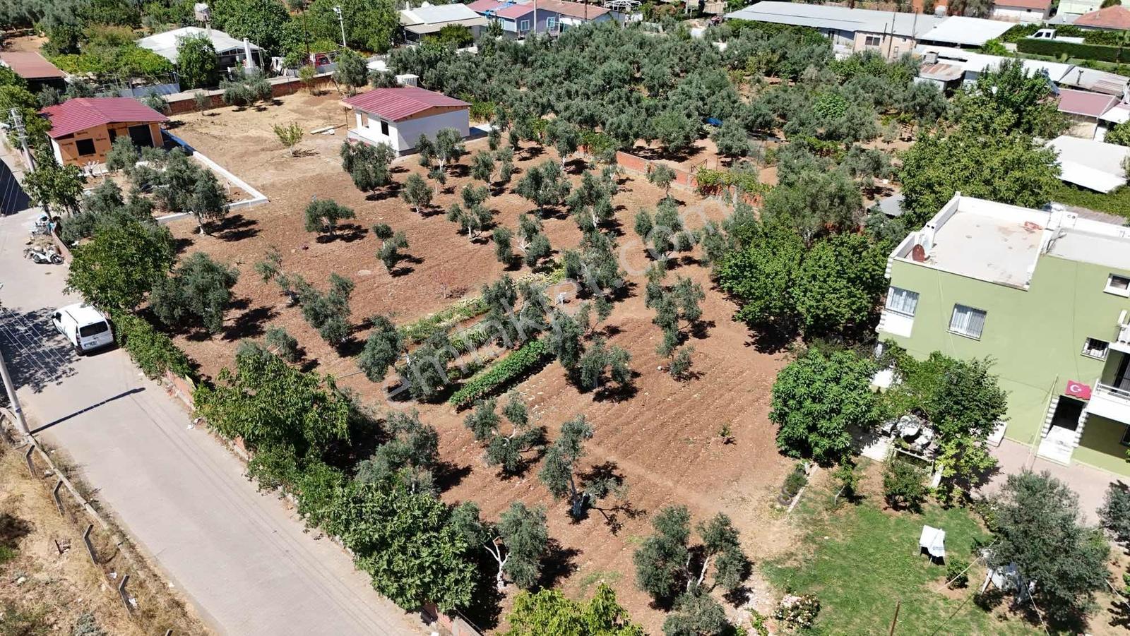 Berk Emlak'tan Oğlananasında 250 M2 Yol Cepheli Satılık Tarla — fotoğraf 14