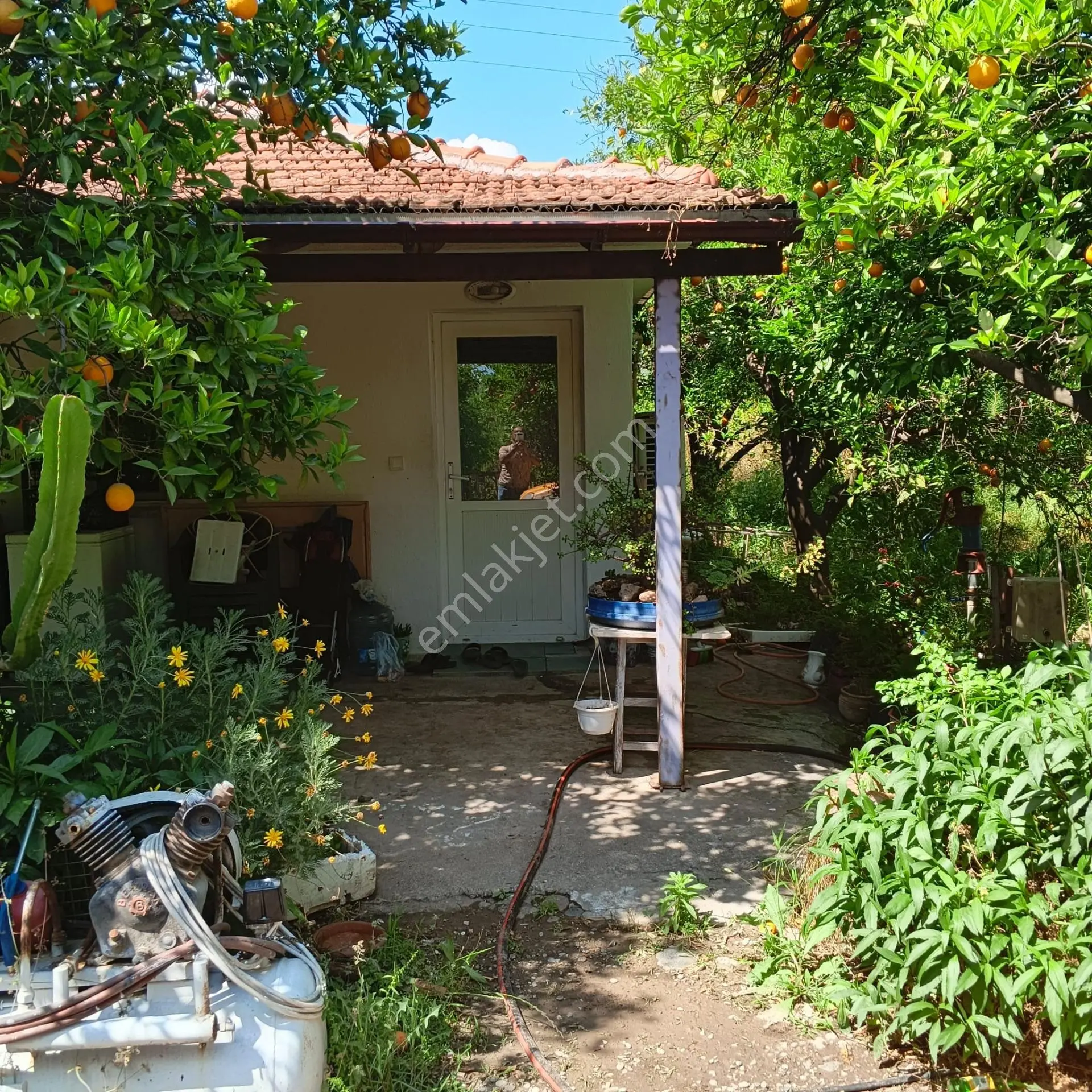 Ortaca Dikmekavak'Ta 10.000 M² Satılık Bağ Ve Bahçe